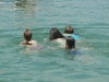 dscn4043