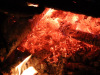 Gross-IMG_2008