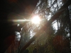dscn2109