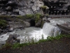 DSCN5116