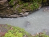 DSCN5248