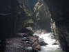 DSCN5268