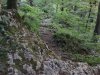 IMG_1700
